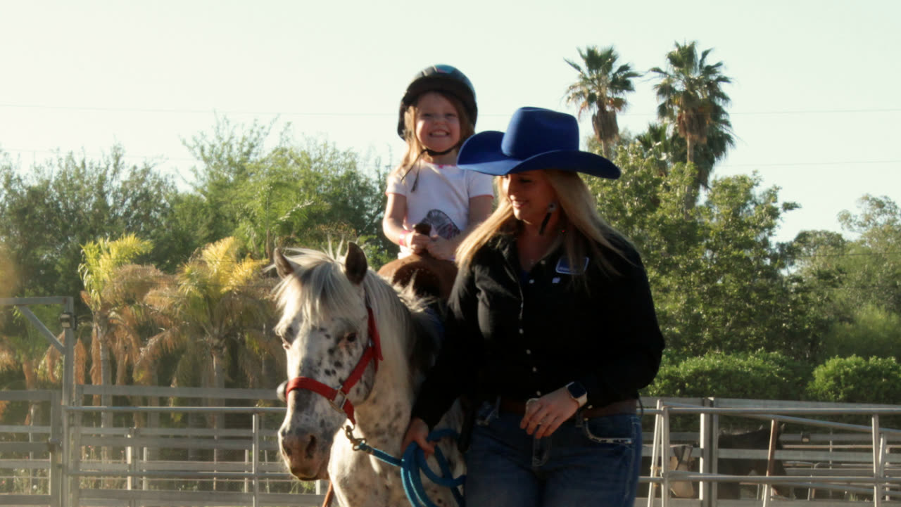 A rider and horse at golden hour